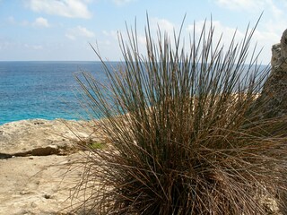 Spaziergang in  Cala Murada
