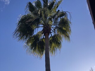 Villa Cala Murada Registrazione all'aperto 28