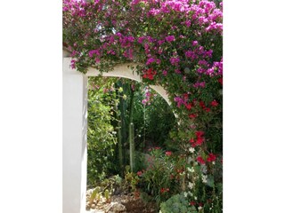 Villa Cala Murada Ambiente 40