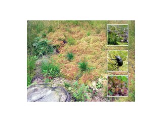 Appartamento per vacanze Schmiedefeld Ambiente 14