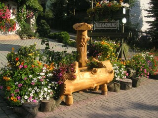 Appartamento per vacanze Schmiedefeld Registrazione all'aperto 5