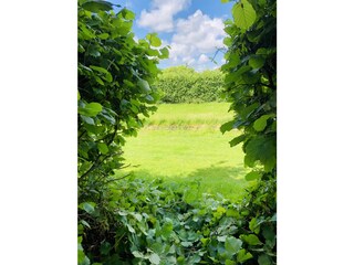 Casa per le vacanze Dirkshorn Registrazione all'aperto 5