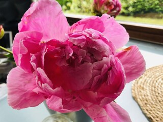 Casa per le vacanze Dirkshorn Caratteristiche 31