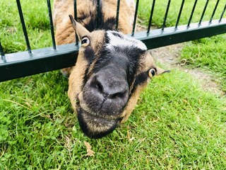 Casa per le vacanze Dirkshorn Ambiente 35