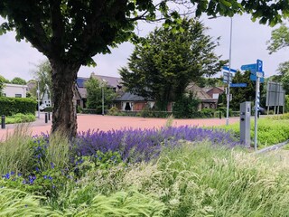 Vakantiehuis Dirkshorn Omgeving 39