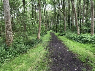 Casa per le vacanze Dirkshorn Ambiente 40
