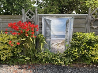 Ferienhaus Dirkshorn Außenaufnahme 16