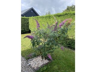 Casa per le vacanze Dirkshorn Registrazione all'aperto 17