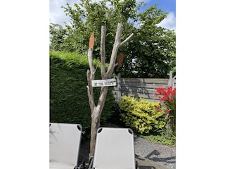 Ferienhaus Dirkshorn Außenaufnahme 19