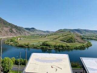 Mosel bei Bremm/Calmont-Region