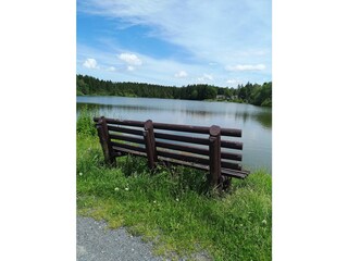 Bank die von Ihnen am Waldsee genutzt werden kann