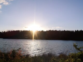 Sonnenuntergang am Waldsee