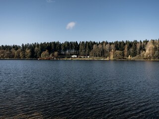 Der Waldsee
