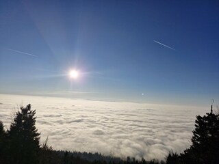 Vakantieappartement Arnbruck Omgeving 31