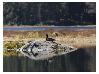 Vakantieappartement Arnbruck Omgeving 26