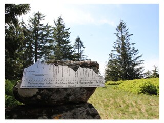 Appartamento per vacanze Arnbruck Ambiente 20