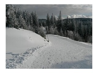 Langlauf in den Höhenloipen