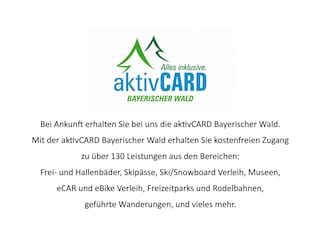 Vakantieappartement Arnbruck Document 37