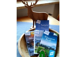 Appartamento per vacanze Reit im Winkl Caratteristiche 35