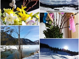 Appartamento per vacanze Reit im Winkl Ambiente 36