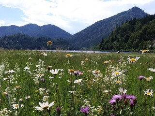 Vakantieappartement Reit im Winkl Buitenaudio-opname 14