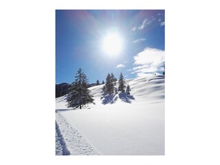 Appartamento per vacanze Reit im Winkl Ambiente 38