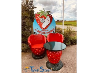 Casa per le vacanze De Cocksdorp Ambiente 23