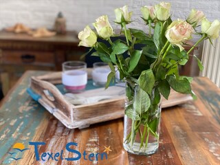 Casa per le vacanze De Cocksdorp Caratteristiche 12