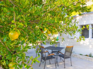 Maison de vacances Baška Voda Enregistrement extérieur 17