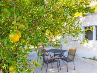Schattige Terrasse vorm Haus
