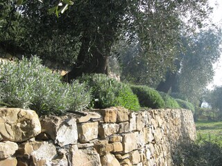 Casa per le vacanze Dolcedo Registrazione all'aperto 13