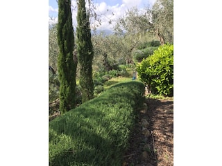 Casa per le vacanze Dolcedo Registrazione all'aperto 15