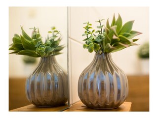 Apartamento de vacaciones Ameland Características 11