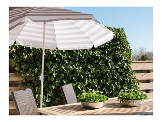 Appartement de vacances Ameland Enregistrement extérieur 3