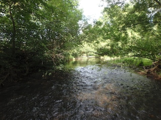 Ferienhaus Stadtkyll Umgebung 24