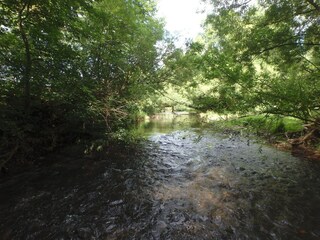 Vakantiehuis Stadtkyll Omgeving 24