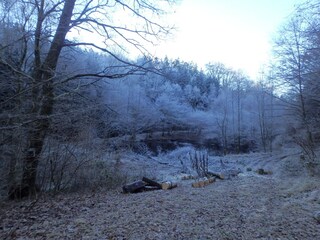 Ferienhaus Stadtkyll Umgebung 30