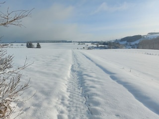 Casa per le vacanze Olzheim Registrazione all'aperto 5