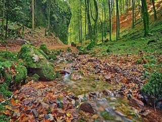 Bungalow Bad Tabarz  36