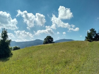 Bungalow Bad Tabarz Umgebung 15