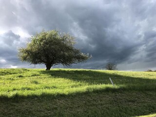 Bungalow Bad Tabarz Umgebung 32