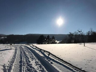 Bungalow Bad Tabarz Umgebung 25