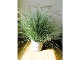 Ferienwohnung Timmendorfer Strand Ausstattung 5