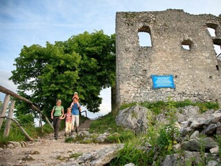 Burgruine Falkenstein