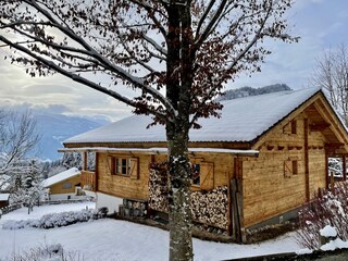 Vakantiehuis Ramsau am Dachstein Buitenaudio-opname 10