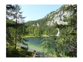 Vakantiehuis Ramsau am Dachstein Omgeving 23