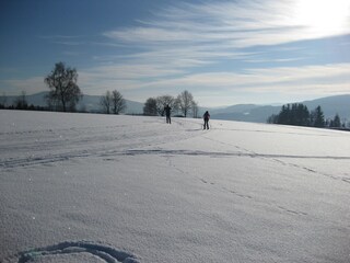 Appartamento per vacanze Arnbruck Ambiente 21