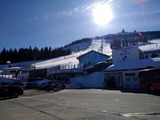 Vakantieappartement Arnbruck Omgeving 23