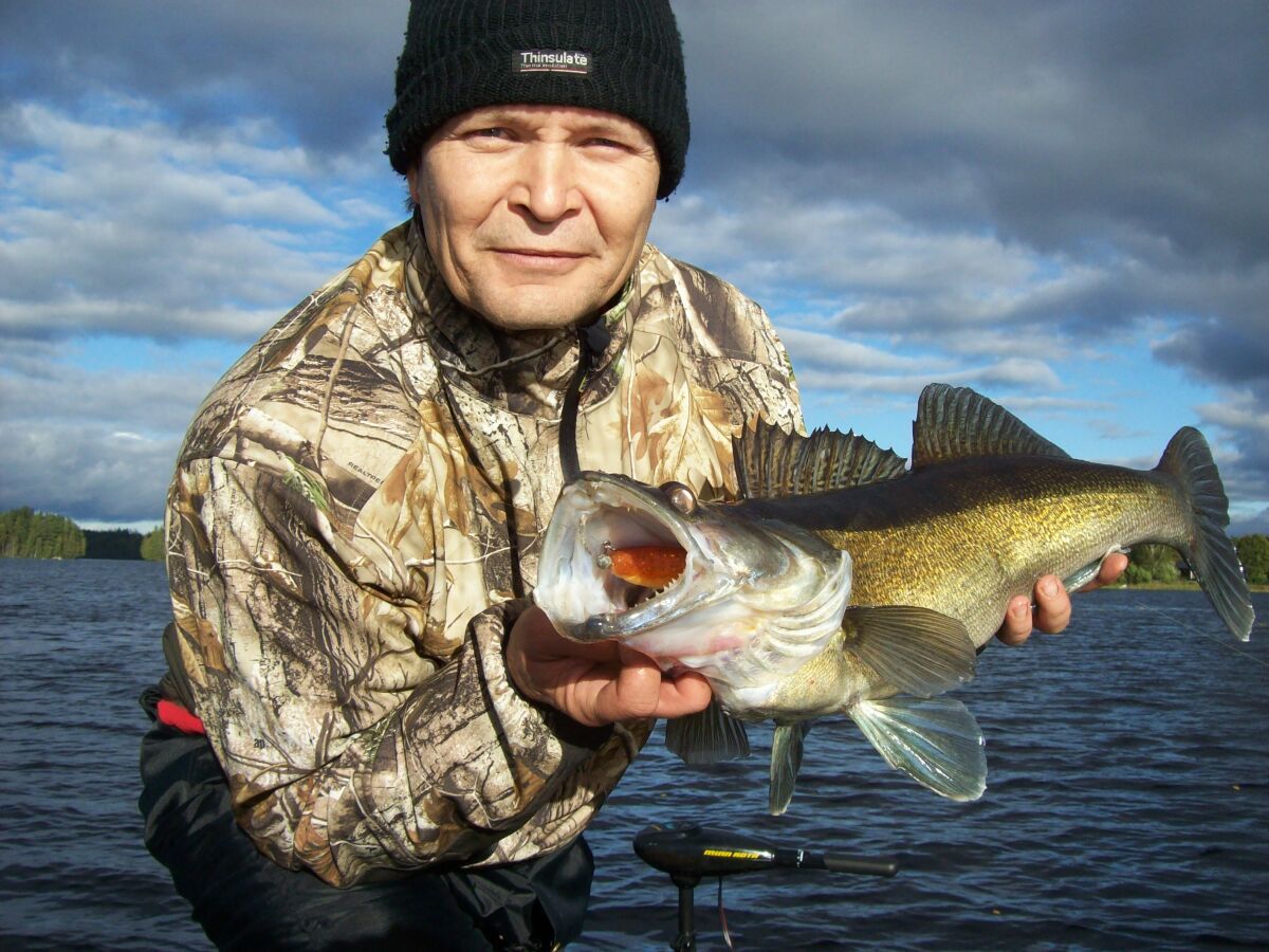 Zander gefangen im See Vrigstadsan