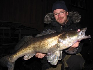 Zander bei Nacht auf dem See Vrigstadsan